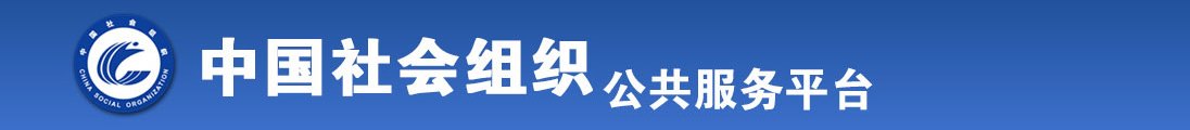 日逼啊啊全国社会组织信息查询